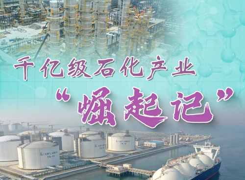 千亿级石化产业“崛起记”